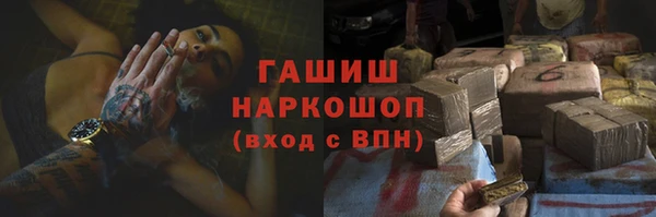 прущий лед Алзамай