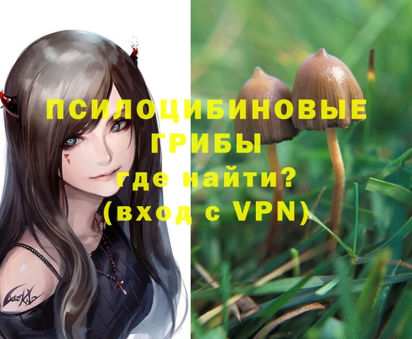 прущий лед Алзамай
