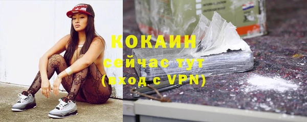 бошки Алексин